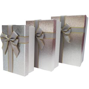 Cajas Duras Rectang. Escar. Plata Pack x3