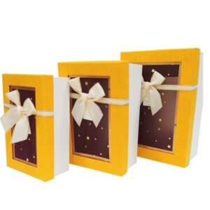 Cajas Duras Rectang. Visor Amarillo Pack x3