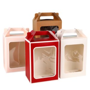 Cajas c/visor Grande 30x20 cm