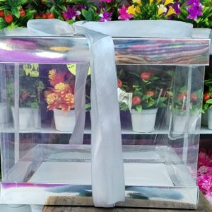 Cajas de Acetato c/cinta 25x20