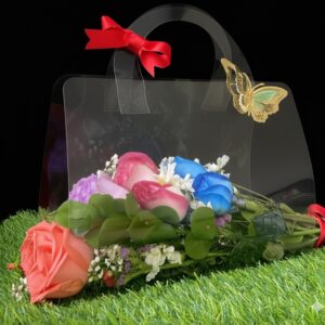 Cartera de Acetato Clásica