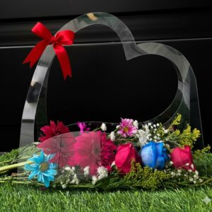 Cartera de Acetato Cisne