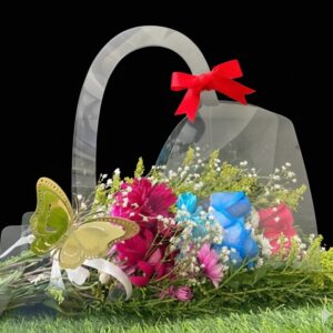 Cartera de Acetato Curvo