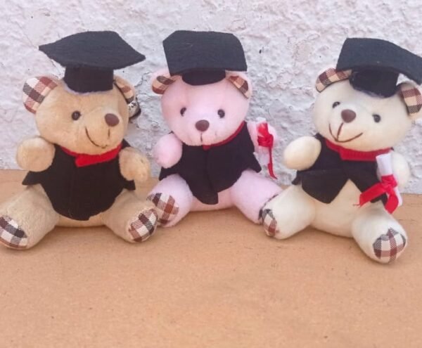 Llaveros de Peluches de Graduación x6