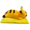 Peluches Pikachu con cobija