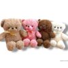 Peluche Osito Colores 45cm #1223-112