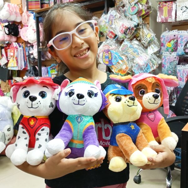 Peluches Paw Patrol 25 cm #3047 - Image 14