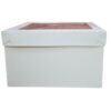 Cajas c/acetato 20x20x12 cm Visor x12unid