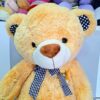 Peluche Oso Marrón Corona 60cm #2414-50 - Image 3