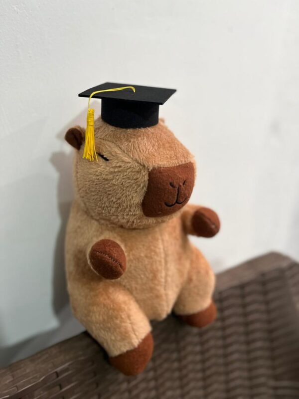 Peluche Capibara Graduado 30cm - Image 2