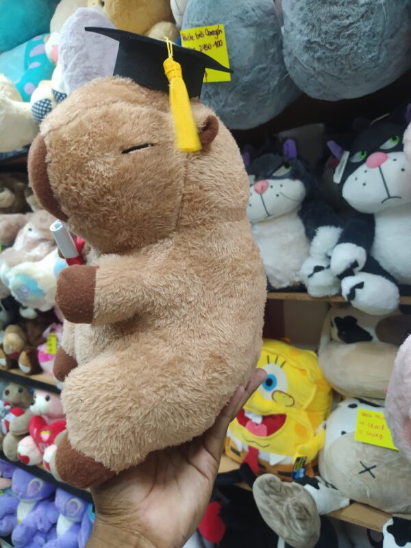 Peluche Capibara Graduado 30cm - Image 3