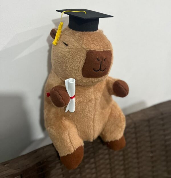 Peluche Capibara Graduado 30cm #SE007 - Image 3