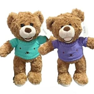 Peluche Oso Sweter Verde Morado 35cm #21818