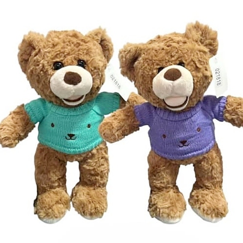 Peluche Oso Sweter Verde Morado 35cm #21818