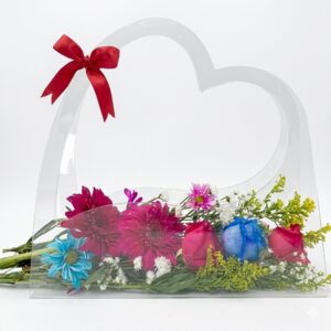 Cartera de Acetato Cristal Cisne