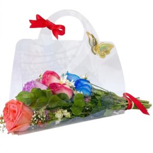 Cartera de Acetato Cristal Clásica