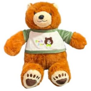 Peluche Oso Abrazo 40cm #021932