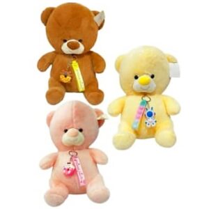 Peluche Osito Colores 30cm #021837