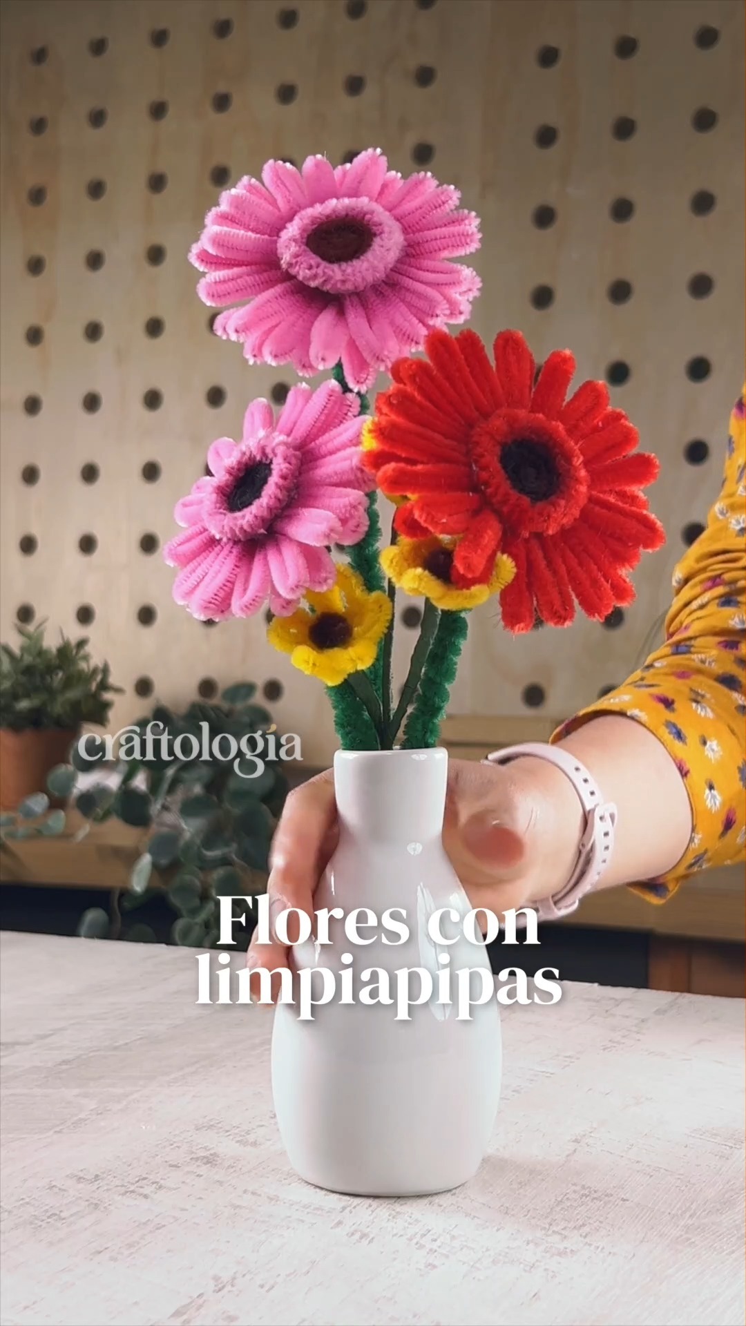 Chenil Limpiapipas Pastel - Image 4