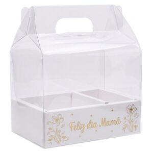 Caja de Acetato c/Division Mamá