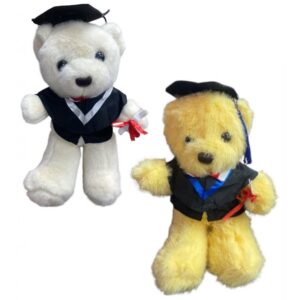Peluche Osito Graduado 25cm Ps1116