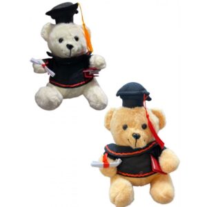 Peluche Osito Graduado 25cm #1617-14