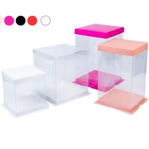 Caja Acetato Rectangulares con Tapa