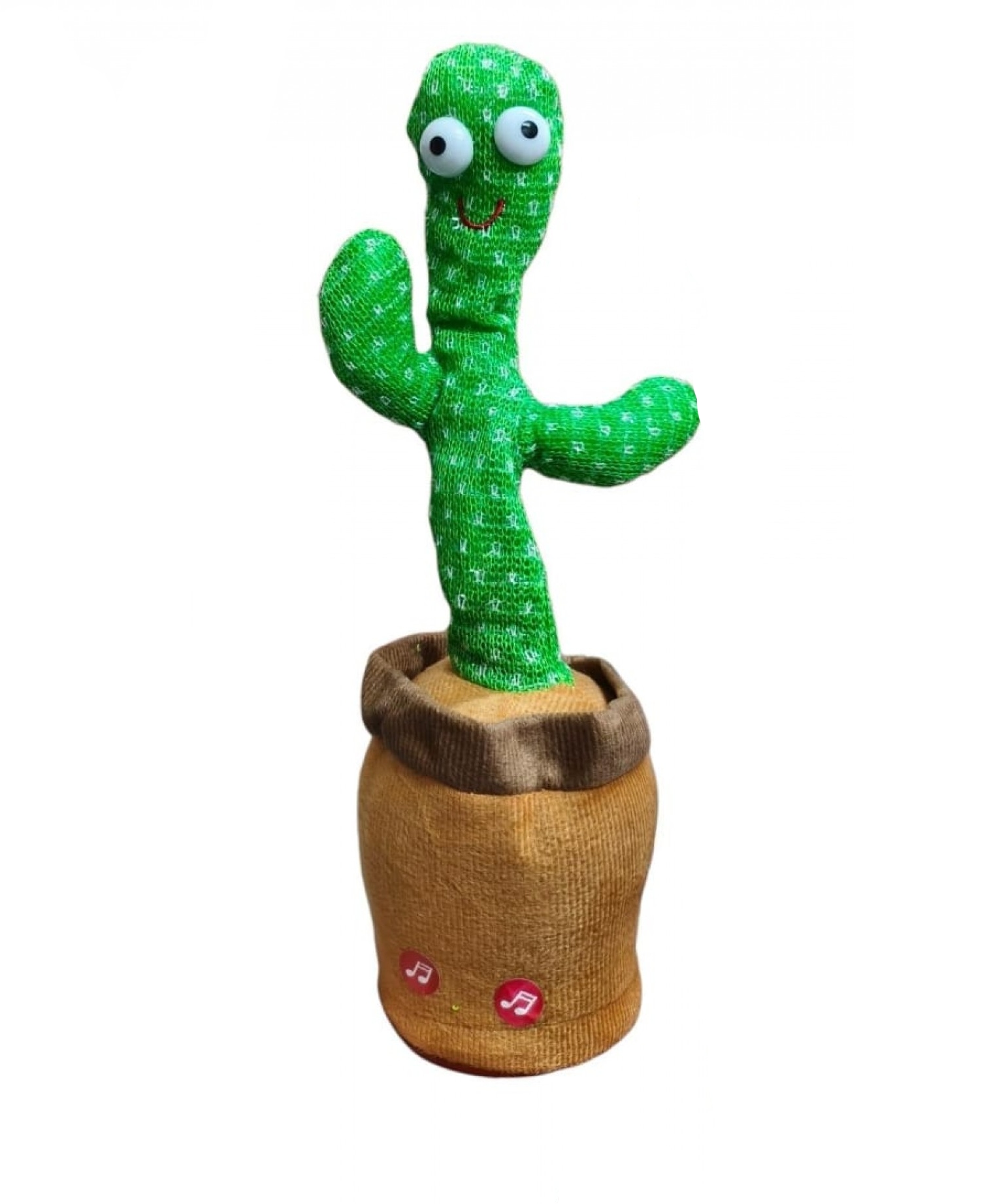 CACTUS BAILARIN #2024-68 - Image 6