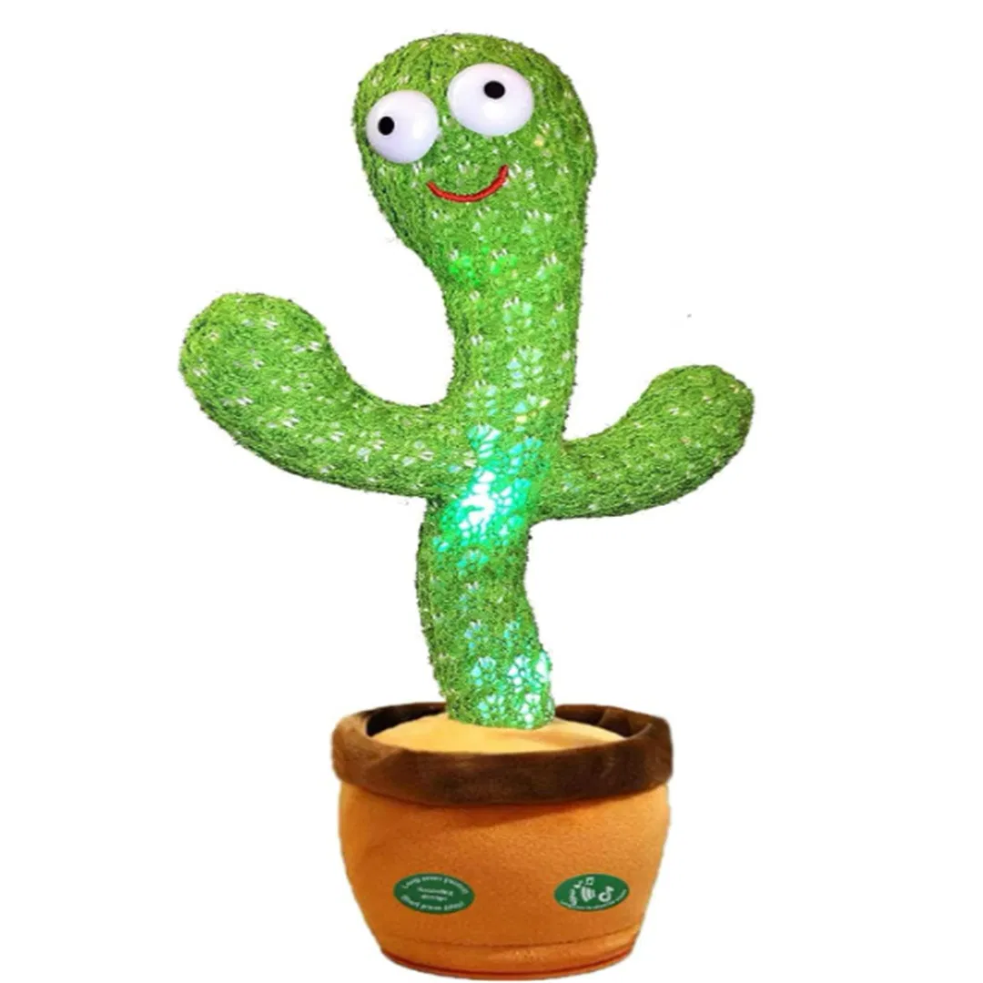 CACTUS BAILARIN #2024-68